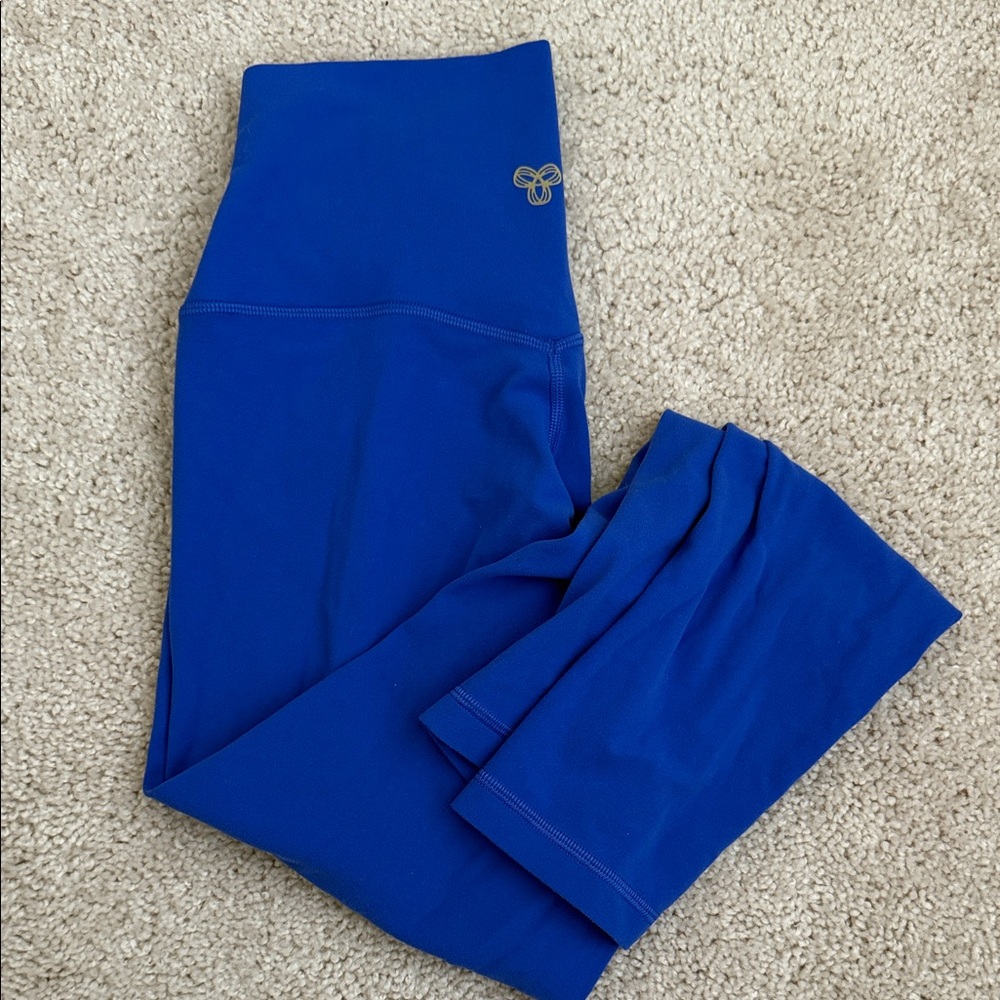 Aritzia Leggings